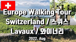 Walking Tour Switzerland Lavaux Vineyard Terraces 랜선투어 라보 20220817 와이너리 [upl. by Akoyin]