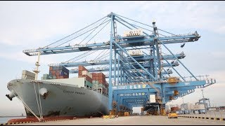 Qingdaos Fully Automated Port Sets Operation Efficiency Record [upl. by Wang]