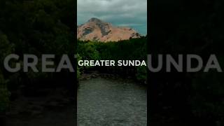 Kepulauan Sunda Besar history sunda sundaland geography shorts [upl. by Otnicaj757]