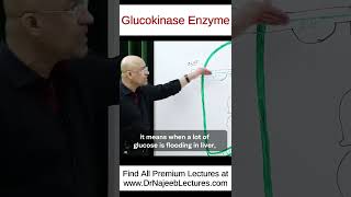 Glucokinase Enzyme shorts shortvideo drnajeeb [upl. by Lichter]