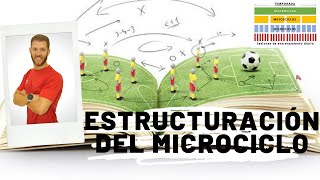 📊 ¿Cómo se estructura un Microciclo 📊 [upl. by Wadlinger415]