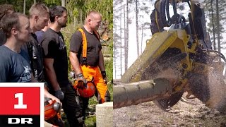 Mand vs skovningsmaskine  Versus  DR1 [upl. by Stoneman673]