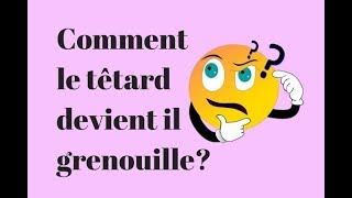 Comment le têtard devient il grenouille [upl. by Robinett]