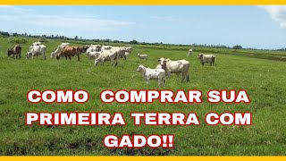 COMO INVESTIR EM GADO EM TERRAS ARRENDADAS [upl. by Nauhs595]