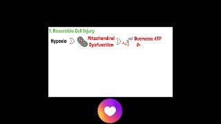 Cell Injury Pathology  Reversible and Irreversible Cell Injury  Part 1 mbbs doctor anatomy [upl. by Arem]