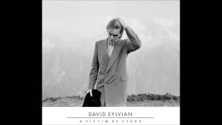 David Sylvian  Victim of Stars [upl. by Alrep]