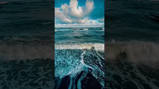 🌊 reverse waves sarbinowo 2024 październik reversed [upl. by Yuille778]