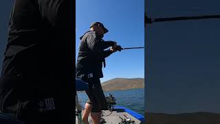 Throwing a 5 inch swimbait with a crazy topwater modification topwaterfishing swimbait [upl. by Dilisio]