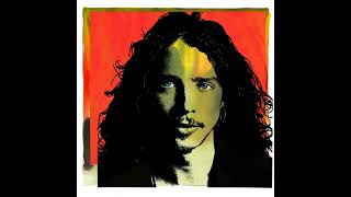 Chris Cornell  Sunshower [upl. by Isied]