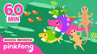 Lima Cicak Kecil dan Lagu Bayi Hiu  Kumpulan Lagu Anak  Baby Shark Pinkfong Indonesia [upl. by Garmaise]