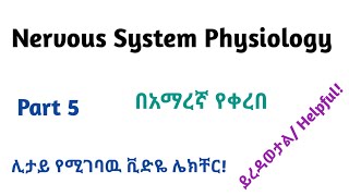 Physiology Neurophysiology General Nervous Tissue Part 5 Video Lecture in Amharic Speech [upl. by Qerat40]