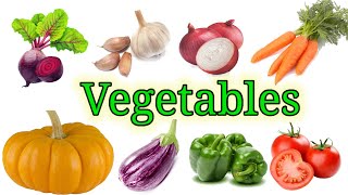 Names of Vegetables  Vegetable  Vegetable in English  Fun N Learn Preschool [upl. by Buehrer296]