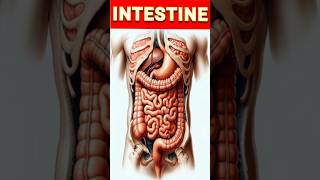 Intestinal obstruction 😊Crohns diseaseshortsvideobio [upl. by Tlaw]