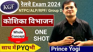 Cell Division  कोशिका विभाजन RRB NTPCALPGroup DRPFJESSC By Prince Yogi [upl. by Ahsiugal]