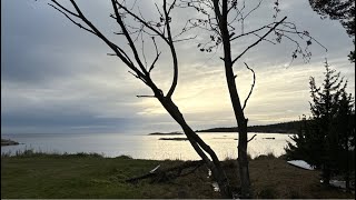 Tankar från havet 31 oktober 2024 [upl. by Chilton]