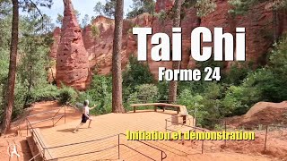 Tai Chi  Forme 24 太极拳 Initiation démonstration  2 parties détaillées pour bras et jambes [upl. by Bertine]