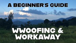 WWOOFING  WORKAWAY ADVICE  My Experiences in Hawaii Spain and Thailand [upl. by Bambi]