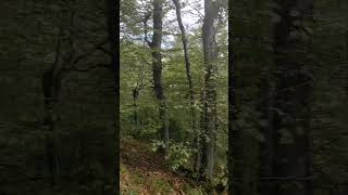 Film 2 Balkan Mountains Ep 52 The trip to Eho hut Mountain nature in Bulgaria [upl. by Aelam617]