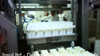 Insol Dairy Machinery  White Feta Cheese Production Line [upl. by Nehtanhoj646]