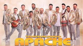 Tropicalisimo Apache Exitos 2024  Clasicas Cumbias Para Bailar Mix [upl. by Salangi]