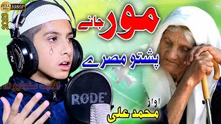 A zama Mori khori Ma shee Pashto Nazam bv Muhamamd Ali [upl. by Ammadas]