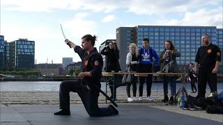 Genbukan Mikazuki Dojo demonstration in Copenhagen [upl. by Cogan]