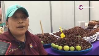 Ofrece “Tlaxcala la Feria de Ferias 2024” lo mejor de la gastronomía local [upl. by Marina]