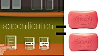 The Process of making Soap  Class 10 Chemistry  Saponification  Learn through animated videos [upl. by Aileme]