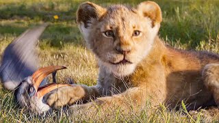 The Lion King  Live Action Trailer NL Ondertiteld  Disney NL [upl. by Tiphanie]