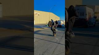 xtx660 xt660x yamaha yamahaxt660x wheelie [upl. by Nastassia179]