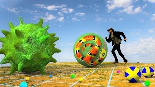 Agario in Real Life [upl. by Carly354]