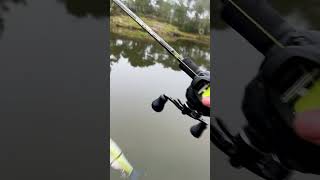 KGB Grand Shad fishing bassfishing fish pikefishing pike [upl. by Slen]