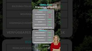 Bürgergeld vs Mindestlohn vermögen geldanlage vermögensaufbau [upl. by Lucila795]