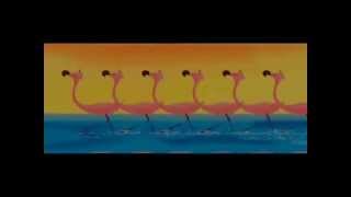 fantasia disney flamingos [upl. by Rosita]