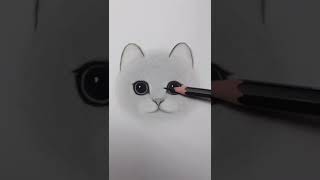 cute cat Sketch  Farjana Drawing Academy short [upl. by Ailadgim]