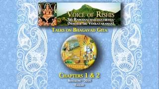 Bhagavad Gita Chapters 1amp2 English  17 [upl. by Kirbee841]