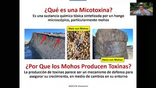 Mohos y micotoxinas en ganado lechero Efectos diagnostico y control [upl. by Ahcila]