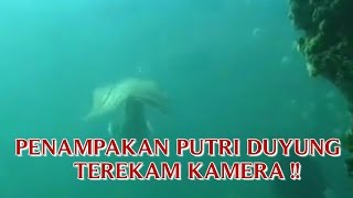 VIDEO PENAMPAKAN PUTRI DUYUNG quotASLI MASIH HIDUP TEREKAM KAMERAquot PENAMPAKAN PUTRI DUYUNG NYATA [upl. by Maclaine]