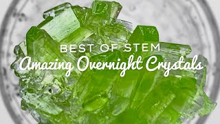 Grow Incredible CRYSTALS Overnight with AMAZING RESULTS [upl. by Adigirb330]