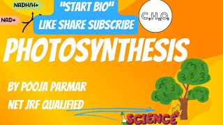 Photosynthesis In Higher Plants  Non Cyclic Photophosphorylation  Cyclic Photophosphorylation [upl. by Hein]