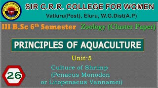 26 BSc 36  Principles of Aquaculture  Unit 5  Culture of Shrimp [upl. by Thatcher]