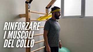 Rinforzare i muscoli del collo [upl. by Ahsitahs]