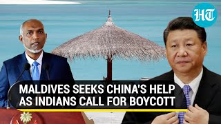 Maldives Pleads China To Send More Tourists Amid Boycott Call By Indians  Watch [upl. by Sidras]