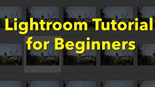 Lightroom Classic Tutorial for Beginners [upl. by Ellerihs]