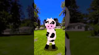 Polish cow full song foryou polish cow dance polishcow cowdance polishcowdance [upl. by Satterfield412]