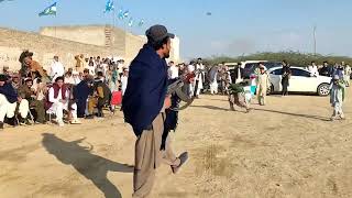 lakki marwat firing  new Pathan firing video  Dr Hisham khan  firing on health minister welcome [upl. by Dnalevelc353]