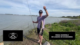 Pesca increíble en laguna de Chascomús [upl. by Dylan635]