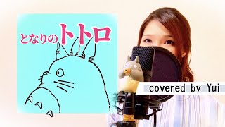 となりのトトロ主題歌【歌詞付きフル】covered by Yui [upl. by Nnail]