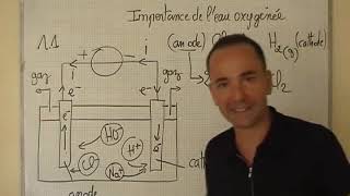 cours TS  chimie  electrolyse du chlorure de sodium réactions aux électrodes [upl. by Shields]