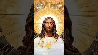 Divine Protection amp Spiritual Sealing Prayer rosarytoday catholicprayer jesus [upl. by Eelymmij641]